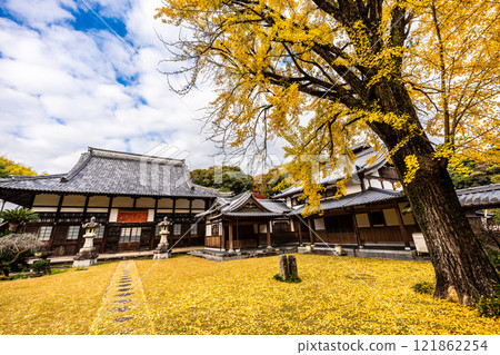 Autumn leaves at Tenyuji Temple [Isahaya City, Nagasaki Prefecture] 121862254