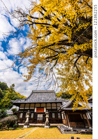 Autumn leaves at Tenyuji Temple [Isahaya City, Nagasaki Prefecture] 121862255