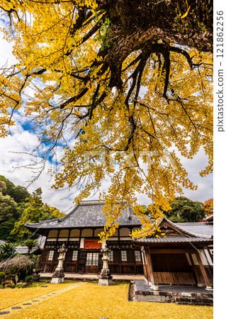 Autumn leaves at Tenyuji Temple [Isahaya City, Nagasaki Prefecture] 121862256