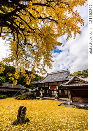 Autumn leaves at Tenyuji Temple [Isahaya City, Nagasaki Prefecture] 121862261