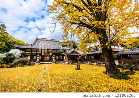 Autumn leaves at Tenyuji Temple [Isahaya City, Nagasaki Prefecture] 121862263