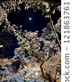 Illuminated cherry blossoms at night 121863761