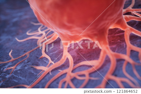 cancer, cells, biology 121864652