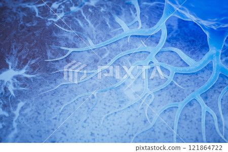 land, microscopic, biology 121864722