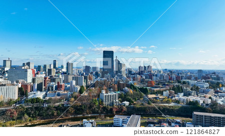 現代城市的無人機鳥瞰圖 121864827