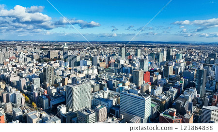 Drone aerial view of modern city 121864838