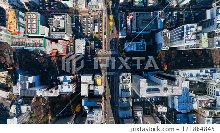 Drone aerial view of modern city 121864845