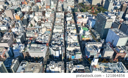 現代城市的無人機鳥瞰圖 121864856