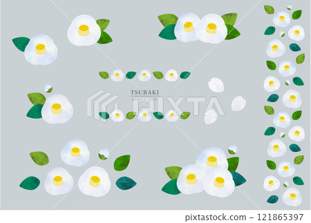 白山茶花裝飾插畫素材集（水彩風格向量） 121865397