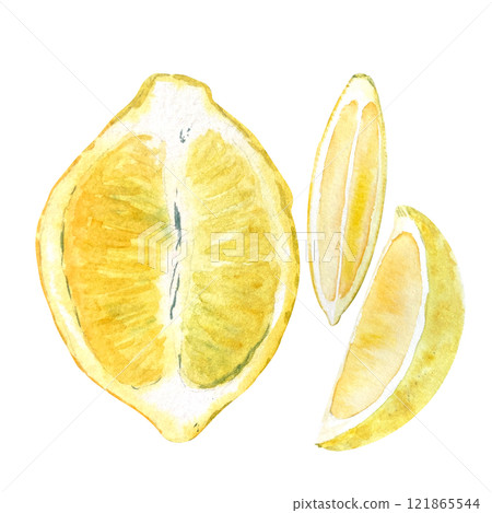 Lemon half fruit and two slices watercolor set isolated on white. High quality hand drawn art for food design, recipe, cook book, packages, menu, food ads, label, logo and decor 121865544