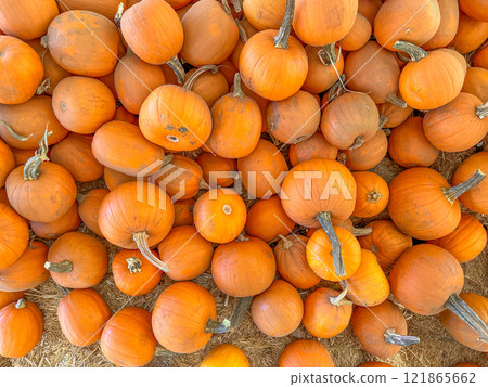 Large piles scattering of small pumpkins and gourds 121865662