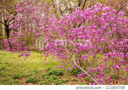 My body and mind became lighter, and the sky was clear and beautiful. The mountains were hazy in the distance, and the river flowed quietly. My body and mind became lighter, and the sky was clear and beautiful. The mountains were hazy in the distance, and the river flowed quietly. 121865789
