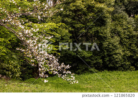 My body and mind became lighter, and the sky was clear and beautiful. The mountains were hazy in the distance, and the river flowed quietly. 121865820