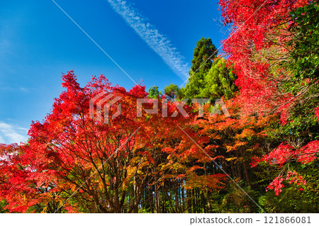 越前陶藝村的秋天 越前陶藝村的秋天 121866081