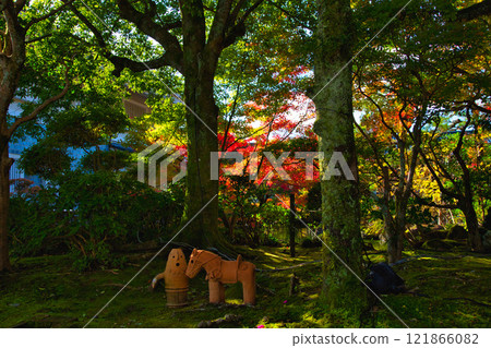 Autumn at Echizen Pottery Village 121866082