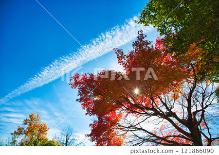 Autumn at Echizen Pottery Village Autumn at Echizen Pottery Village 121866090