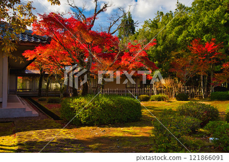 越前陶藝村的秋天 越前陶藝村的秋天 121866091