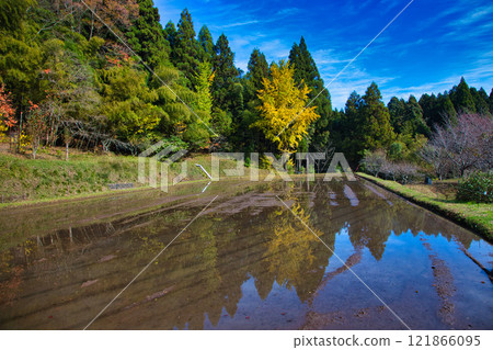 Autumn at Echizen Pottery Village Autumn at Echizen Pottery Village 121866095