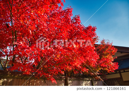 Autumn at Echizen Pottery Village Autumn at Echizen Pottery Village 121866161