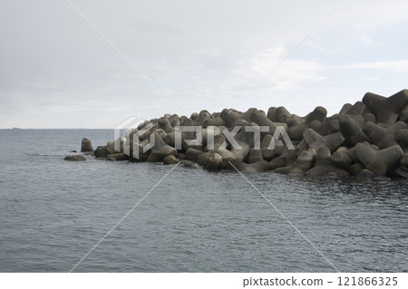 Tetrapod Tetrapod 121866325