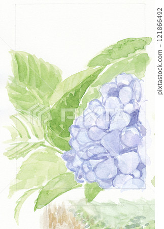 禦岳宿清水中的繡球花 121866492