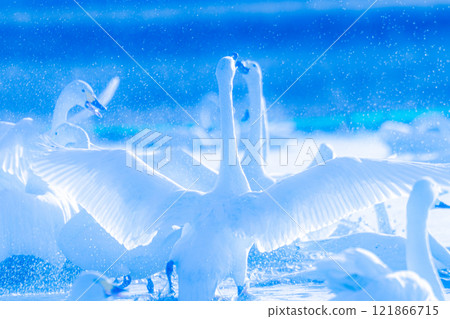 Motono Swan Village 121866715