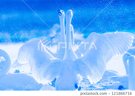 Motono Swan Village Motono Swan Village 121866716