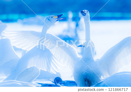 Motono Swan Village Motono Swan Village 121866717