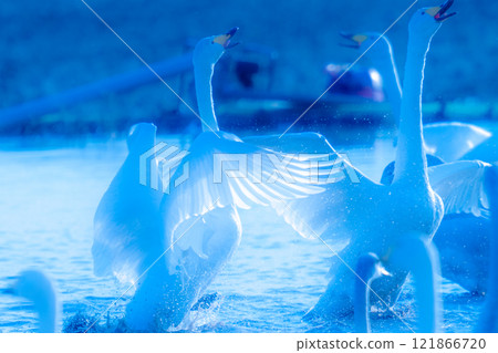 Motono Swan Village Motono Swan Village 121866720