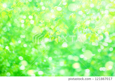 Green Background 121867017