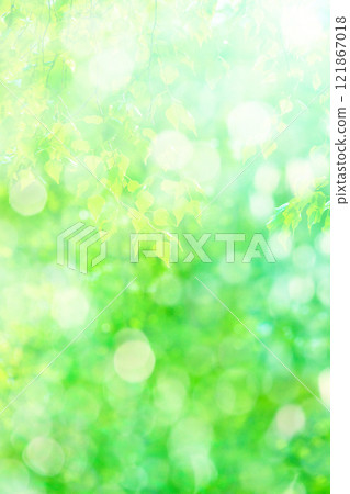 Green Background 121867018