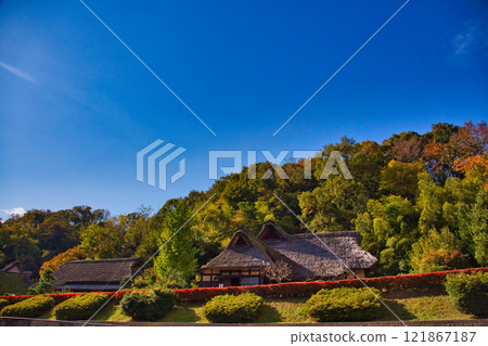 大越文化公園的秋天 121867187