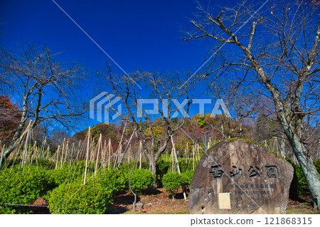 Nishiyama Park with autumn leaves 121868315