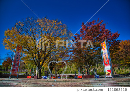 Nishiyama Park with autumn leaves Nishiyama Park with autumn leaves 121868316