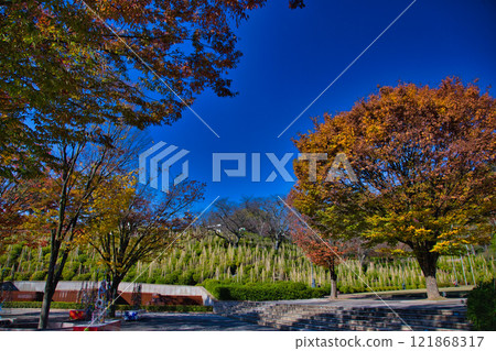 有秋葉的西山公園 121868317