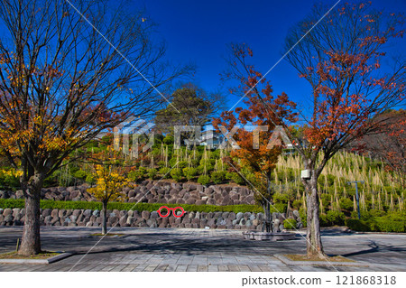 有秋葉的西山公園 121868318