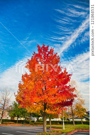 City Museum of Art in autumn colors 121868531