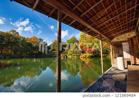 Snow hangings and autumn leaves in Yokokan Garden Snow hangings and autumn leaves in Yokokan Garden 121869484