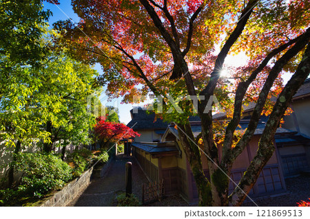 Snow hangings and autumn leaves in Yokokan Garden Snow hangings and autumn leaves in Yokokan Garden 121869513