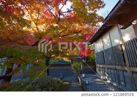橫館庭園的雪掛和紅葉景觀 橫館庭園的雪掛和紅葉景觀 121869528