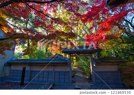 Snow hangings and autumn leaves in Yokokan Garden Snow hangings and autumn leaves in Yokokan Garden 121869530