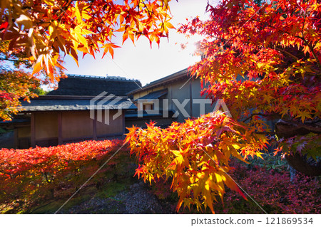 橫館庭園的雪掛和紅葉景觀 121869534