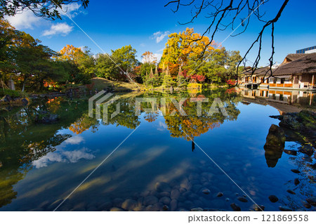 Snow hangings and autumn leaves in Yokokan Garden Snow hangings and autumn leaves in Yokokan Garden 121869558