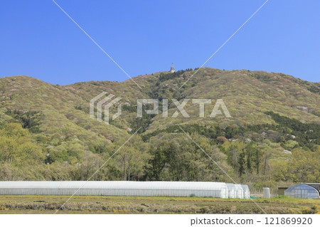 Spring at Mount Hokyo in Ibaraki Prefecture, decorated with young leaves and wild cherry blossoms under a clear blue sky. Spring at Mount Hokyo in Ibaraki Prefecture, decorated with young leaves and wild cherry blossoms under a clear blue sky. 121869920