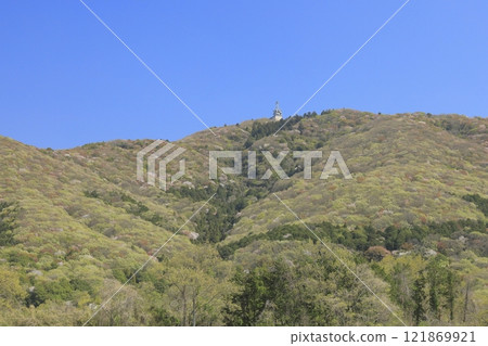 Spring at Mount Hokyo in Ibaraki Prefecture, decorated with young leaves and wild cherry blossoms under a clear blue sky. Spring at Mount Hokyo in Ibaraki Prefecture, decorated with young leaves and wild cherry blossoms under a clear blue sky. 121869921