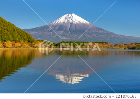 Saori, Fujinomiya City, Shizuoka Prefecture - Snow-capped World Heritage Mt. Fuji and upside-down Mt. Fuji on the lake surface as seen from Lake Tanuki on the Asagiri Plateau Saori, Fujinomiya City, Shizuoka Prefecture - Snow-capped World Heritage Mt. Fuji and upside-down Mt. Fuji on the lake surface as seen from Lake Tanuki on the Asagiri Plateau 121870165