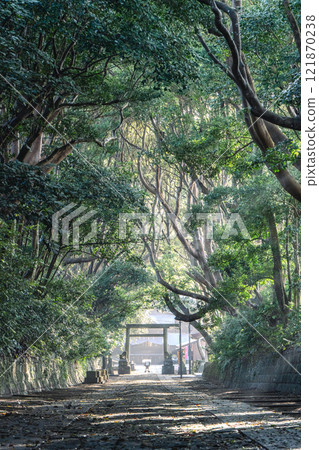 Shuzen-oso前神社的花瓶 Shuzen-oso前神社的花瓶 121870238
