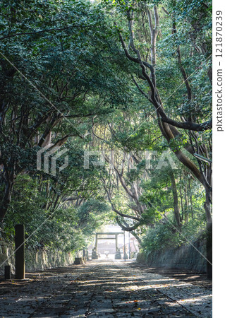 Shuzen-oso前神社的花瓶 Shuzen-oso前神社的花瓶 121870239