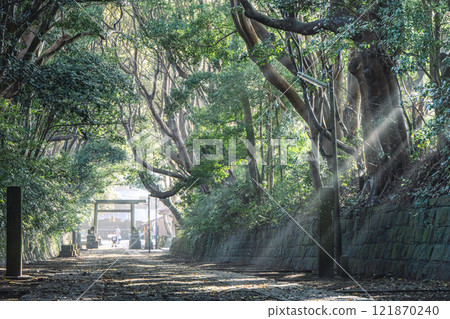 Shuzen-oso前神社的花瓶 121870240