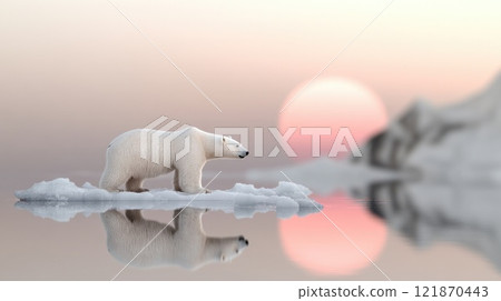 White polar bears: Arctic mammal, snowy adaptation, icy predator, majestic creature, tundra survival, marine wanderer, northern species, climate threat, endangered wildlife, glacial predator. 121870443